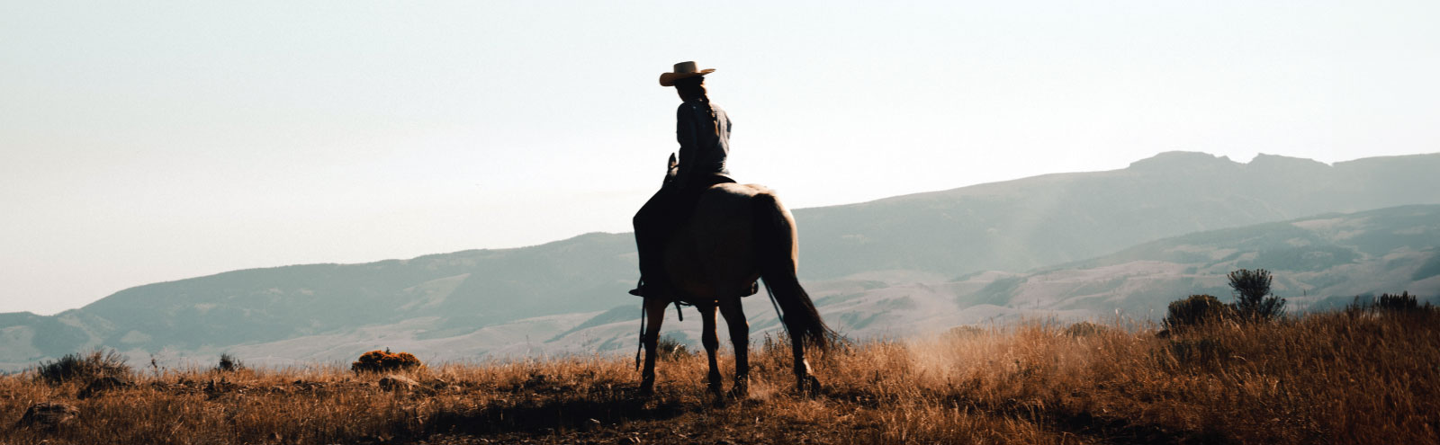 Silhouette of horseback rider on a hill.